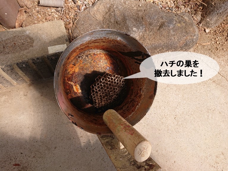 岸和田市のハチの巣を撤去しました