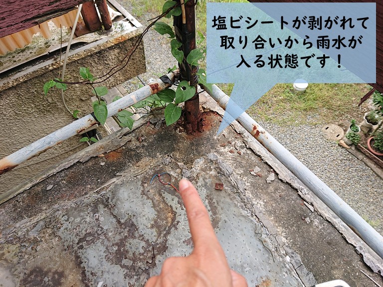 岸和田市のベランダの塩ビシートが剥がれています