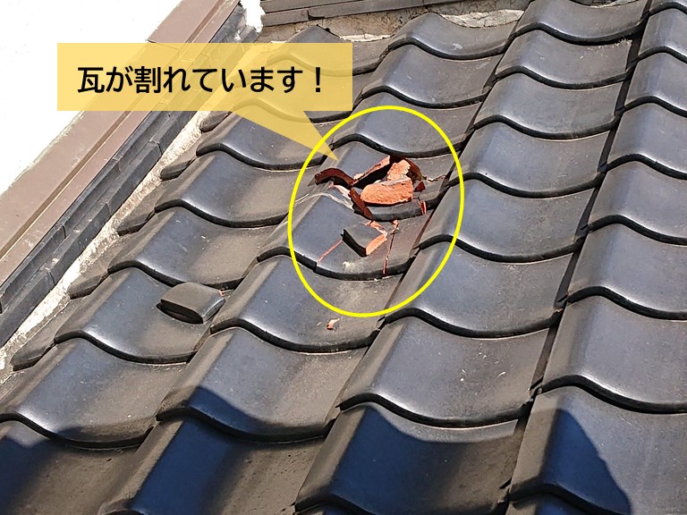 岸和田市の下屋の瓦が割れています