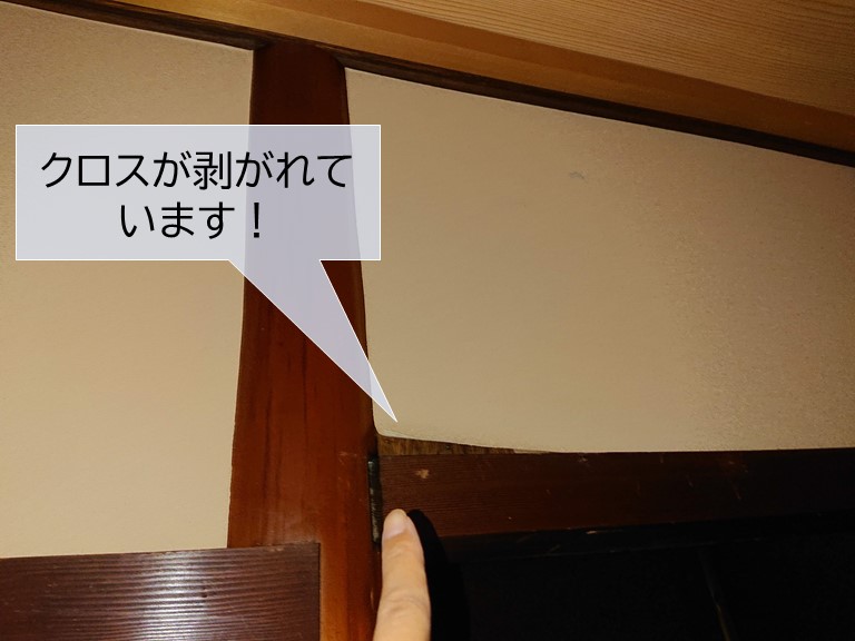 岸和田市の和室のクロスが剥がれています