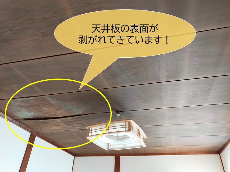 岸和田市の和室の天井板の表面が剥がれてきています
