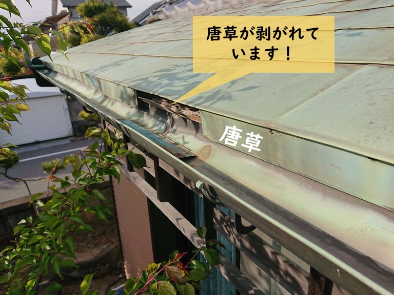 岸和田市の唐草が剥がれています