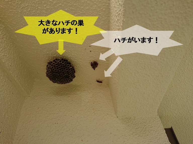 岸和田市の外壁にハチの巣があ