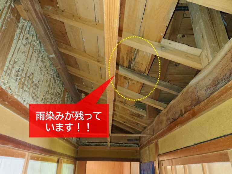 岸和田市の天井裏に雨染みが残っています