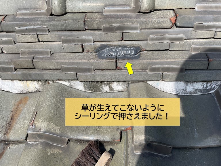 岸和田市の屋根から草が生えてこないようにシーリングで押さえました