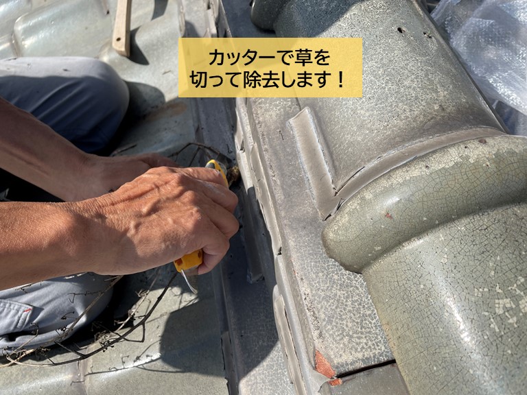 岸和田市の屋根に生えた草をカッターで切って除去します