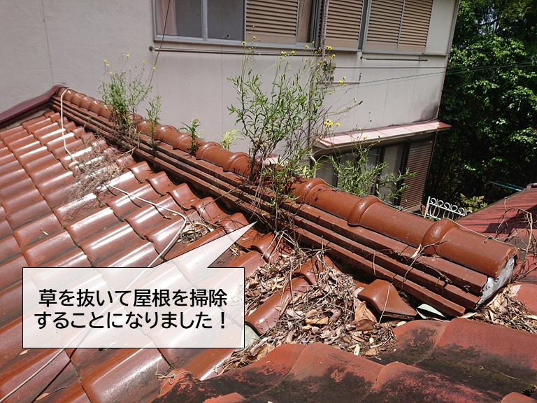 岸和田市の屋根に生えた草を抜いて掃除することになりました