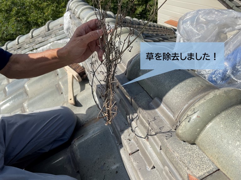 岸和田市の屋根に生えた草を撤去しました