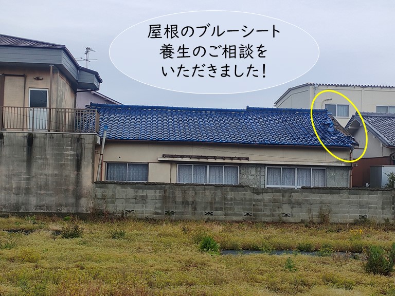 岸和田市の屋根のブルーシート養生
