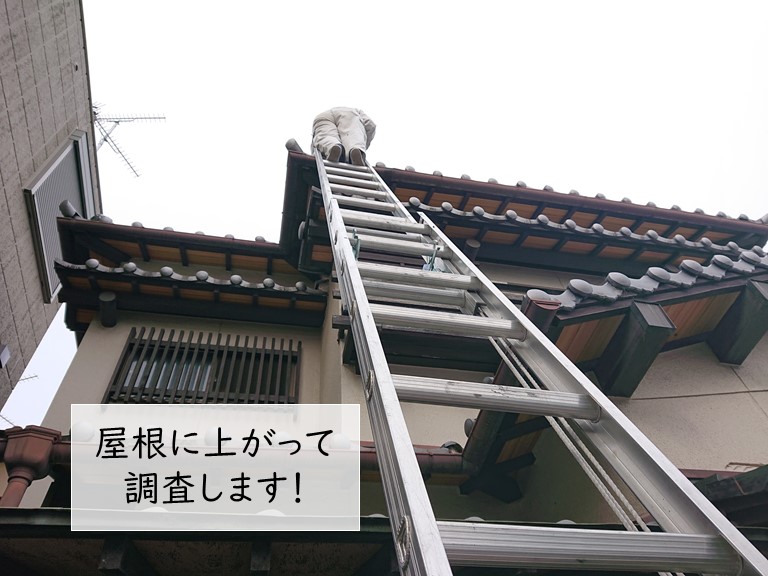 岸和田市の屋根の調査