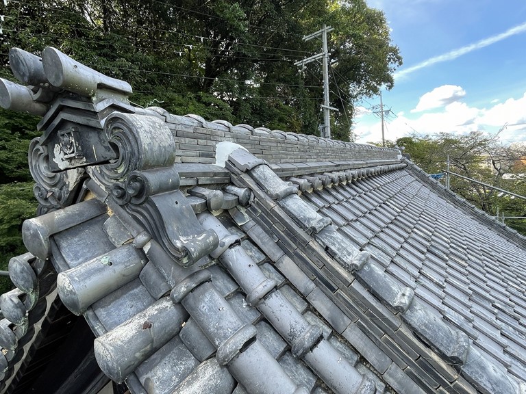 岸和田市の屋根の雑草撤去完了