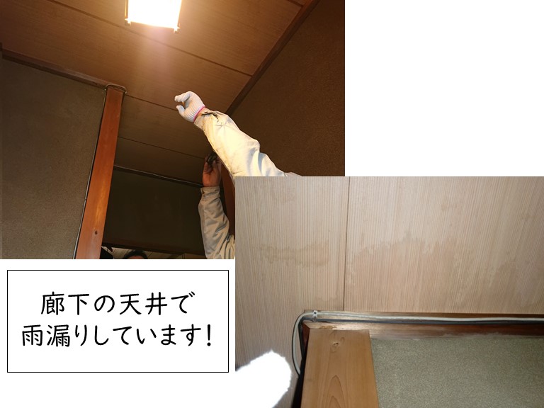 岸和田市の廊下の天井で雨漏り