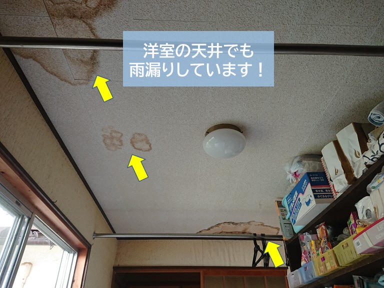 岸和田市の洋室の天井でも雨漏りしています