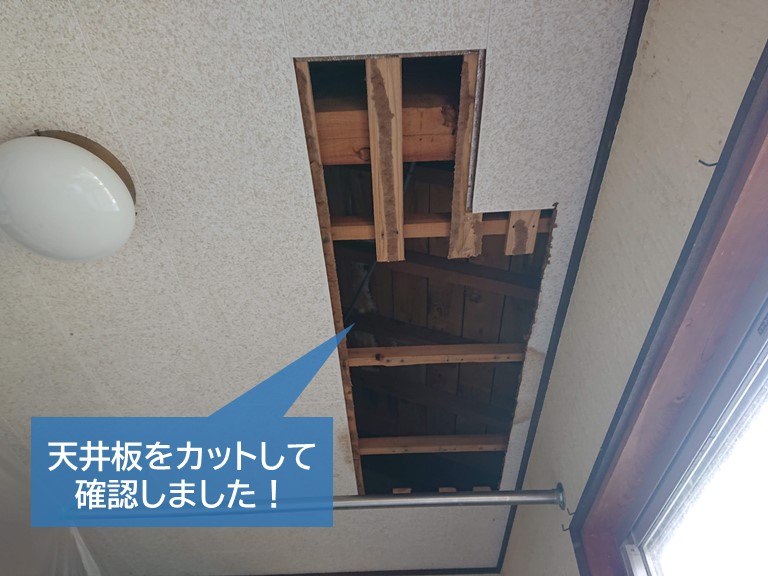 岸和田市の洋室の天井板をカットして確認しました！