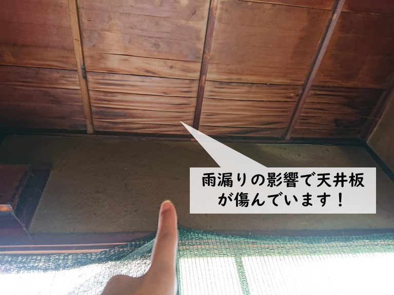 岸和田市の玄関の天井板が雨漏りの影響で傷んでいます