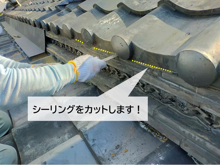 岸和田市の瓦に充填されたシーリングをカットします