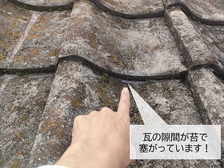 岸和田市の瓦の隙間が苔で塞がっています