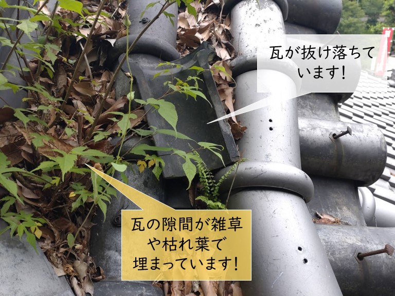 岸和田市の瓦の隙間が雑草や枯れ葉で埋まっています