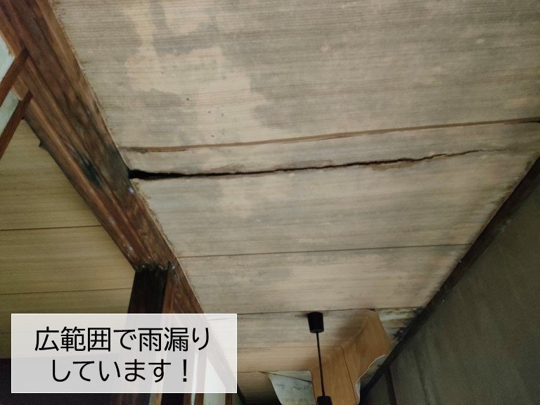 岸和田市の縁側の天井で広範囲で雨漏りしています