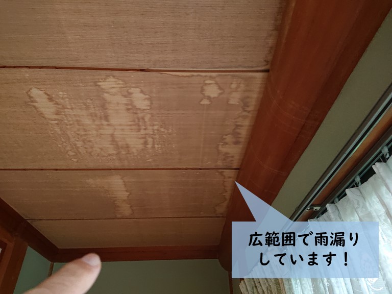 岸和田市の縁側の天井の広範囲で雨漏りしています