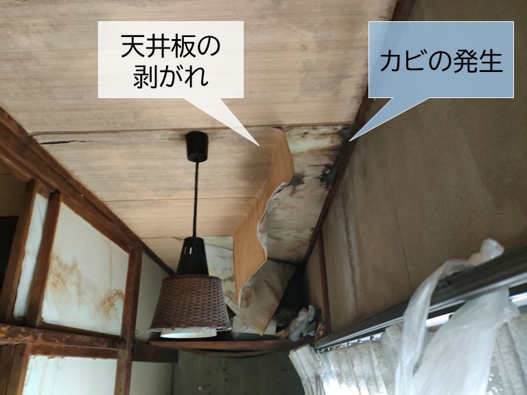 岸和田市の縁側の天井の雨漏りが進行して天井板が剥がれています