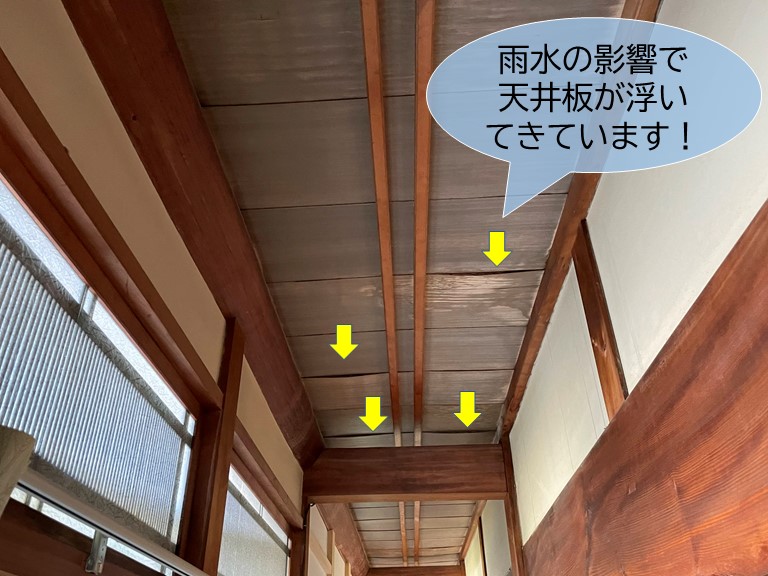 岸和田市の縁側の天井板に雨水が廻って浮いてきています