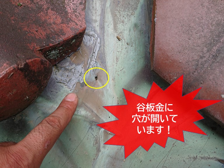 岸和田市の谷板金に穴が開いています！