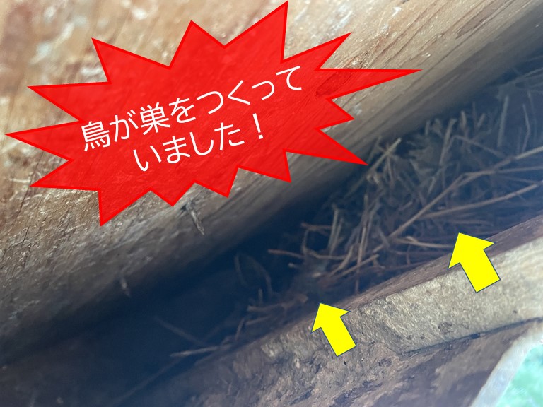 岸和田市の軒裏換気口の中に鳥の巣が