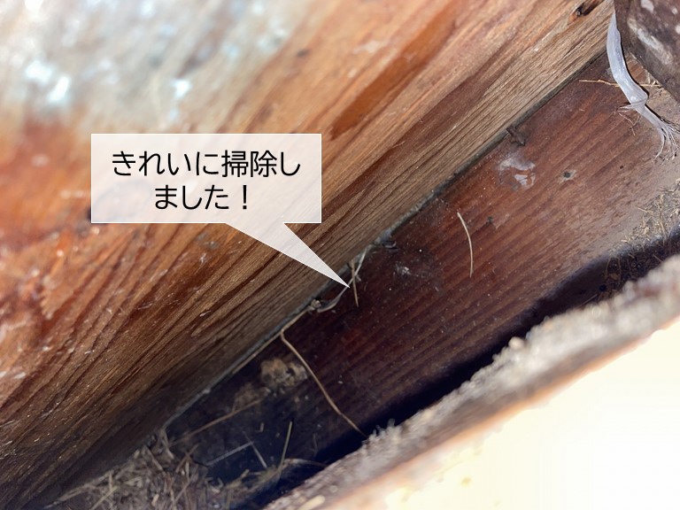 岸和田市の軒裏換気口の中の鳥の巣を撤去