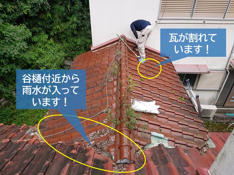 岸和田市の雨漏りの原因の可能性がある箇所