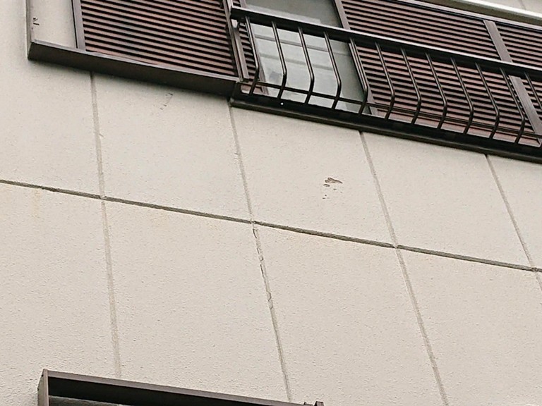 岸和田市目地シーリング前