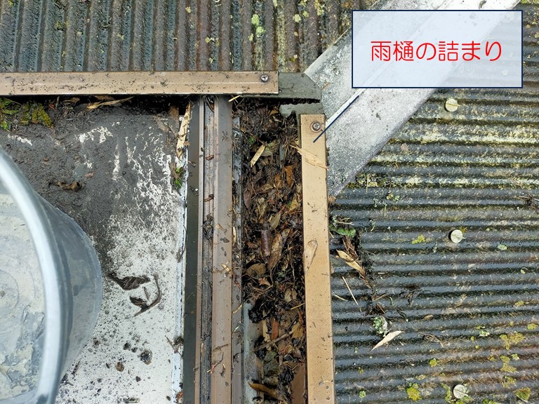 岸和田市雨樋の詰まりを確認