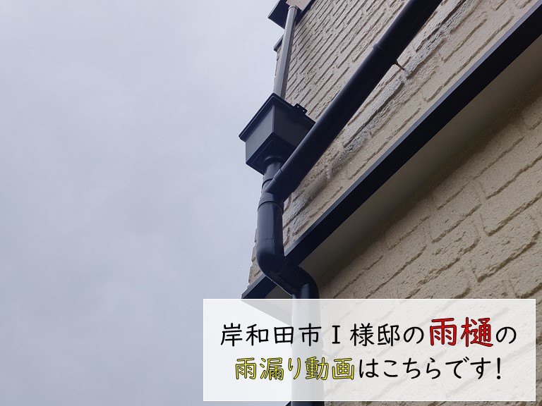 岸和田市Ｉ様邸の雨樋の雨漏り動画