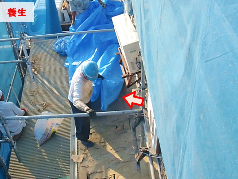 忠岡町 下屋 養生