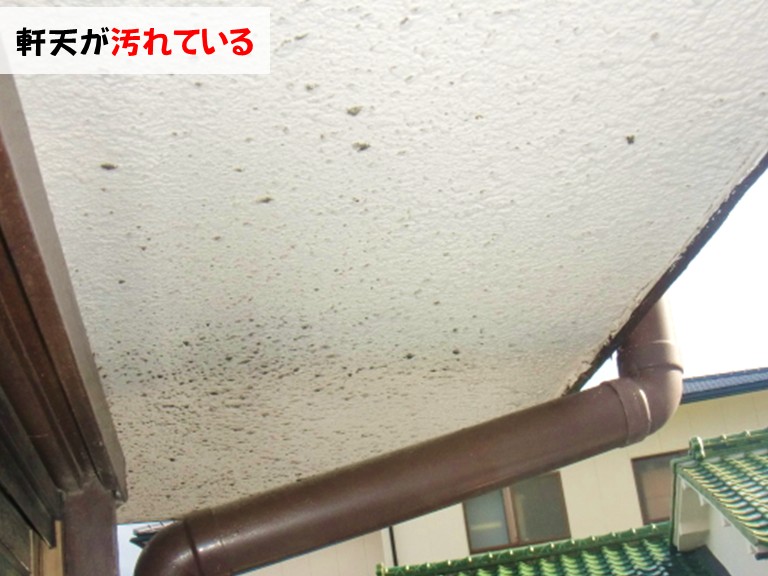忠岡町 軒天が汚れている