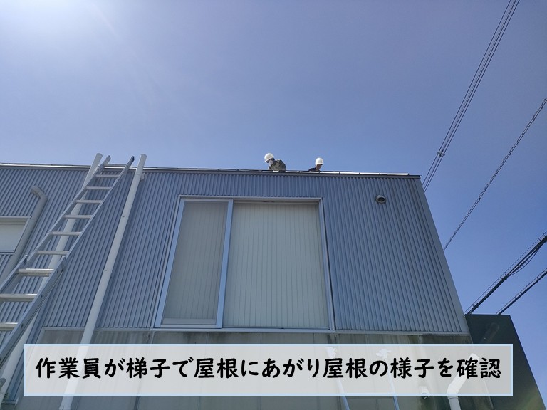 忠岡町で作業員が梯子の屋根の様子を確認