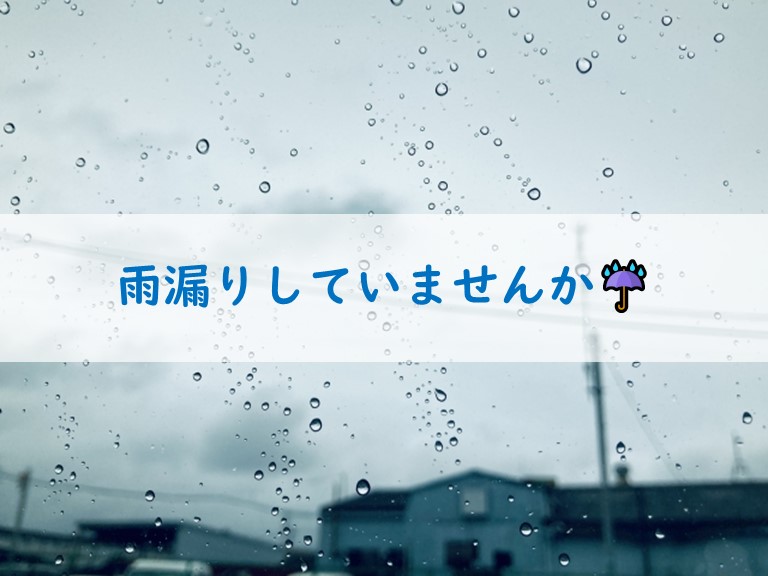 忠岡町で雨漏り修繕!安心できる住まいを取り戻すお手伝い3選
