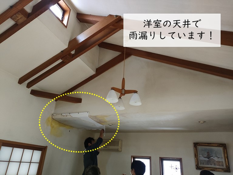 忠岡町の洋室の天井の雨漏り