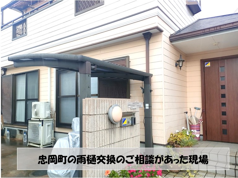 忠岡町の雨樋交換のご相談があった現場