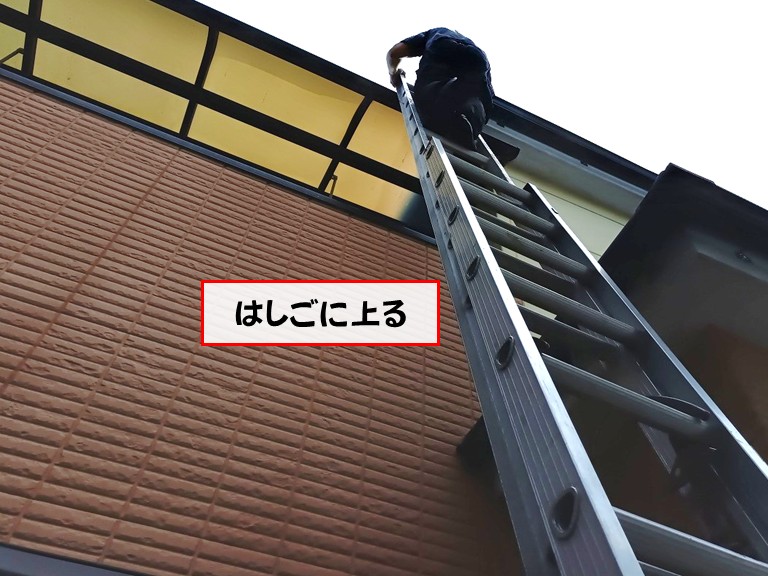 忠岡町はしごに上る