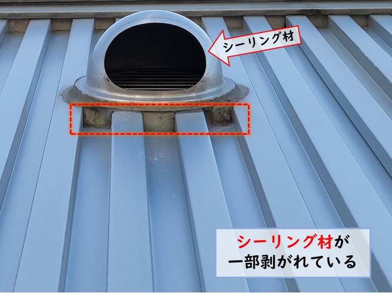 忠岡町で雨漏り発生!店舗付き住宅の雨樋、外壁、笠木、箱樋を調査