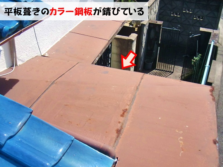 忠岡町平板葺きのカラー鋼板が錆びている
