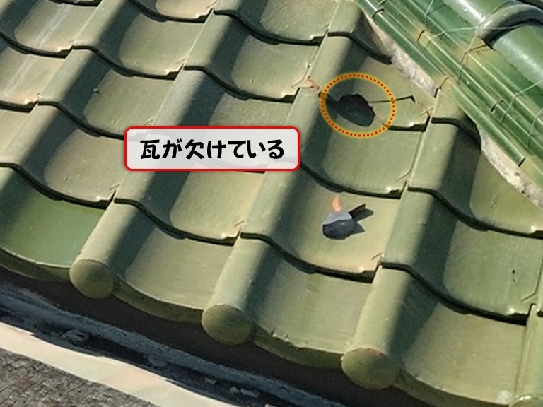 泉佐野市 瓦が欠けている