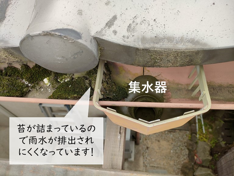 泉佐野市の軒樋が詰まり雨水が流れにくいです
