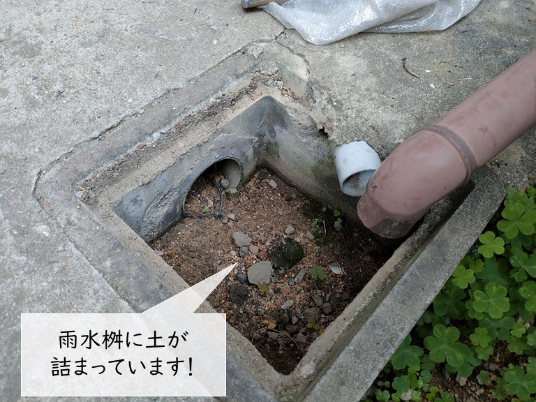 泉佐野市の雨水桝に土が溜まっています