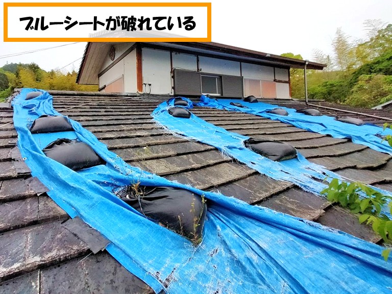 泉佐野市ブルーシートが破れている