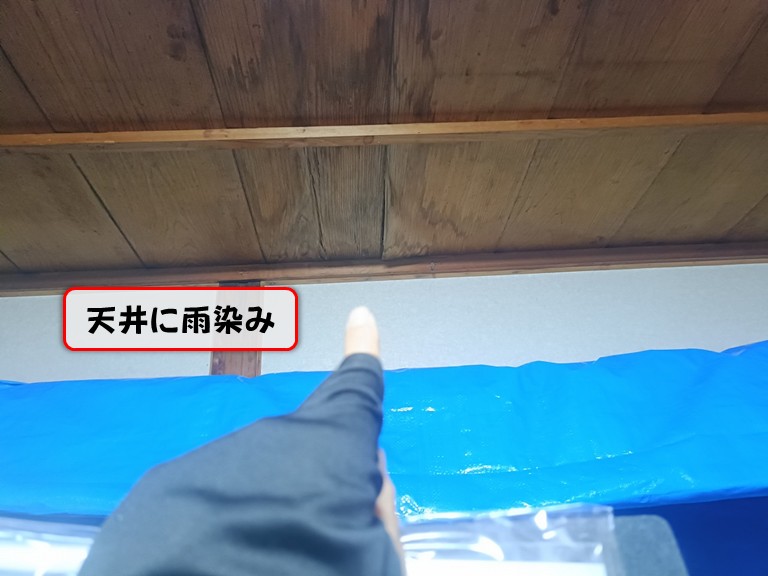 泉佐野市で棟板金と貫板が飛散して雨漏り発生！外壁の穴も発見