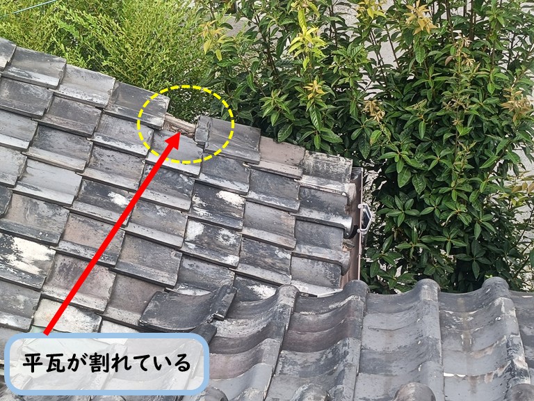 泉佐野市平瓦割れ