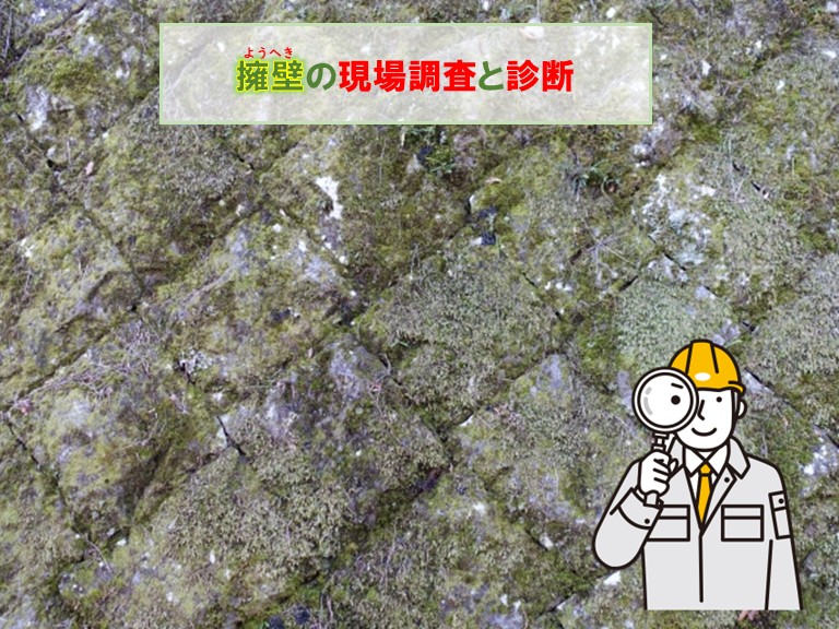 泉佐野市擁壁の現場調査と診断
