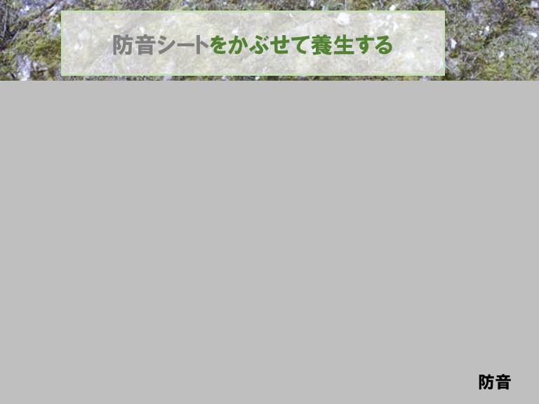 泉佐野市擁壁改修工事防音シートで養生